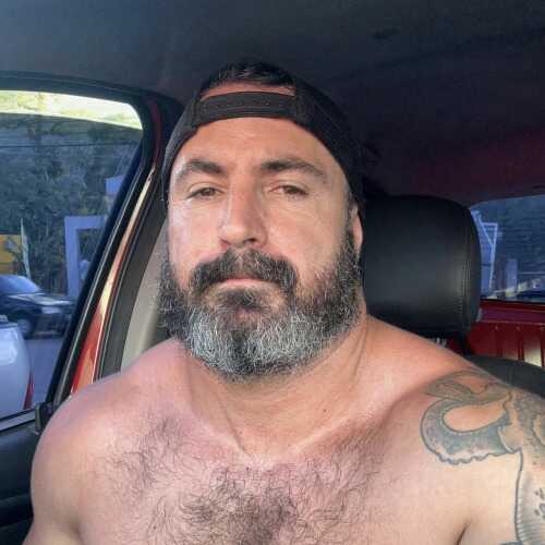 Alpha Dom