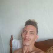 dmpalm213