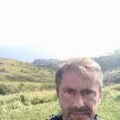 littlebullOre