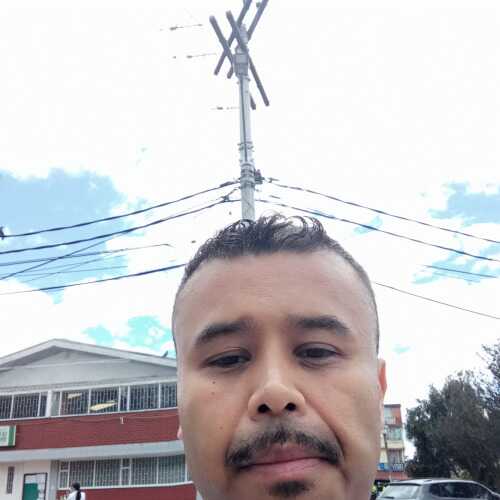 alexande688