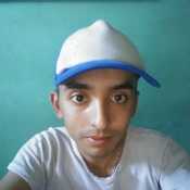 rodrigoode774