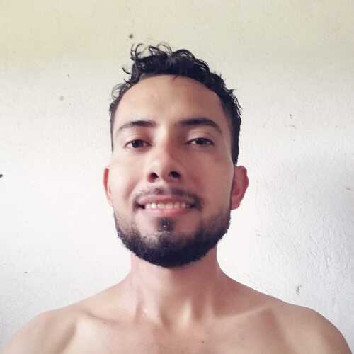 davflo833