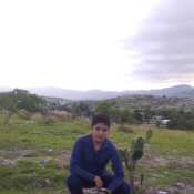 markangelsantossan352