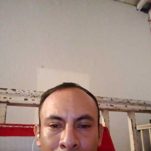 onza785