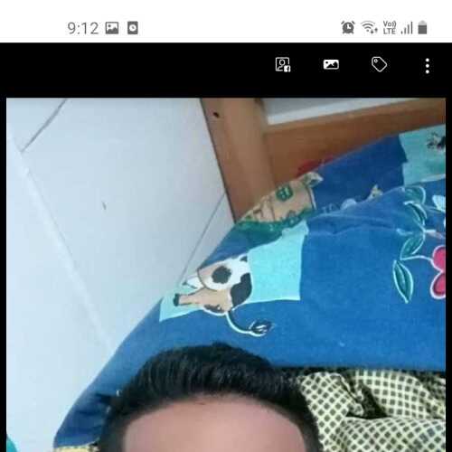 anguloantho440