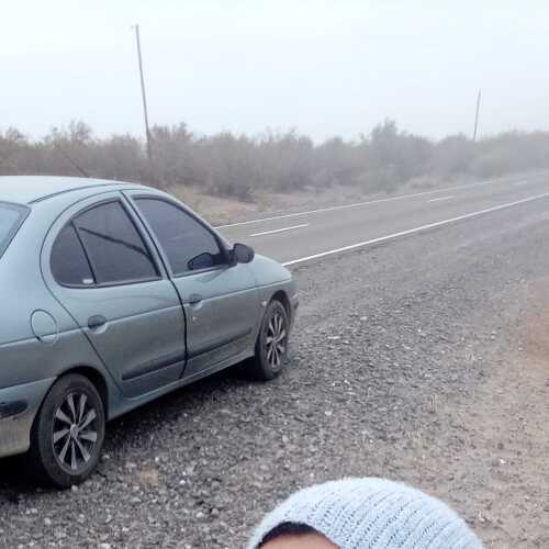polodrgo364