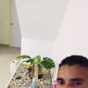 danysel301