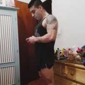 shooguntg
