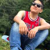 nesti681