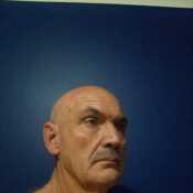 steveo65