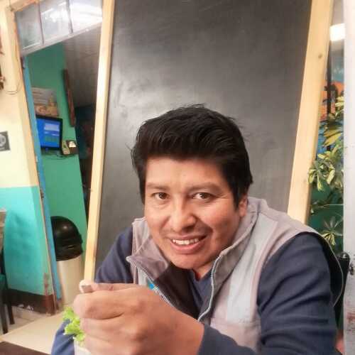 Ingnestor