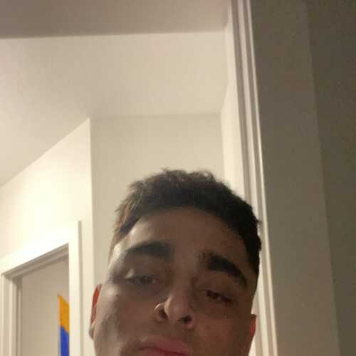 Apphadogg