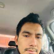 cocodrilo85