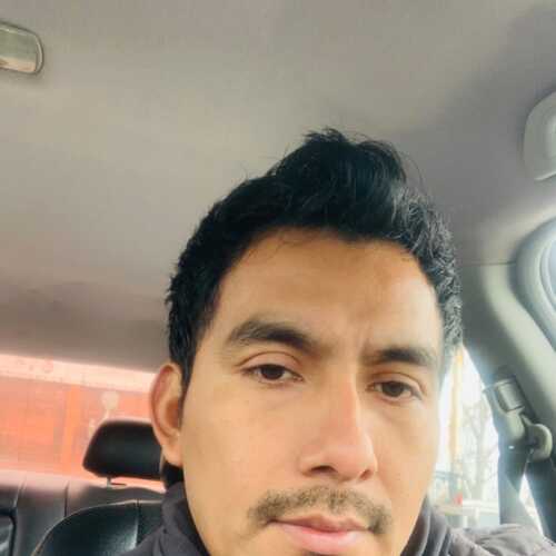 cocodrilo85
