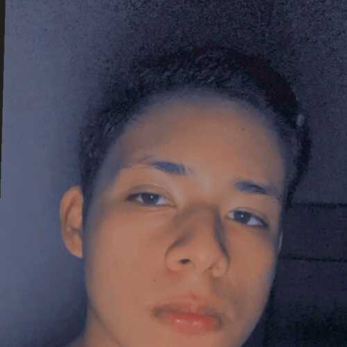 Perzinsde009