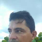 Levisaholguin