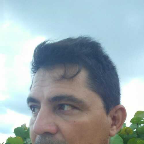Levisaholguin
