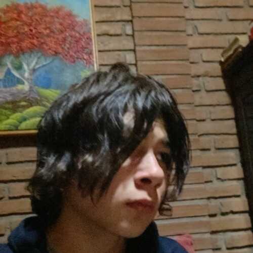 fosterlu549