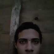parzib755