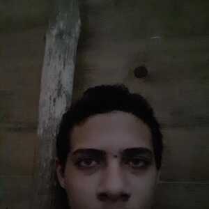parzib755
