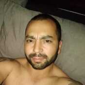 panandr336