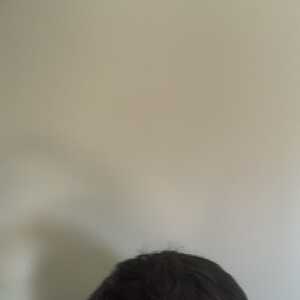 dbel331