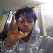 Bany15