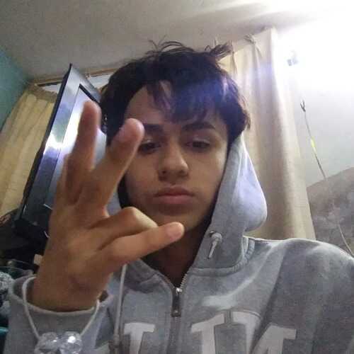 Bany15