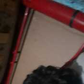 Joacoso