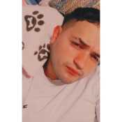 Pollittoo_2