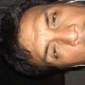 Raulenriquesipandavila
