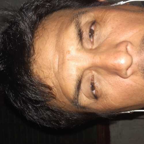Raulenriquesipandavila
