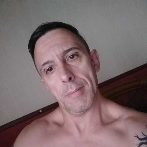 ari419