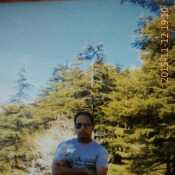 arvin15
