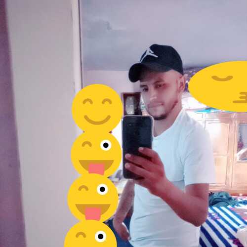 alexanderescan