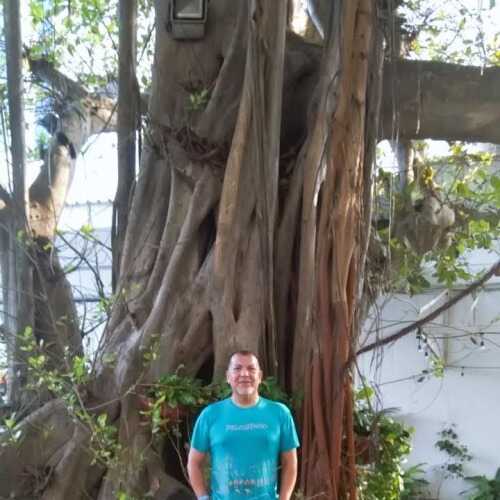 fernandoarr541