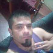 Sanbernardo40