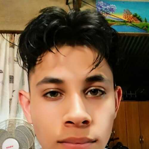 Alannico