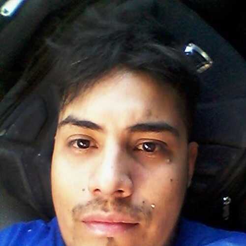 Cachorro06