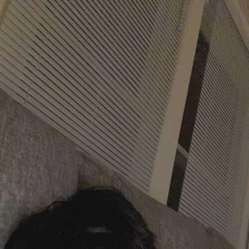 jaypark01