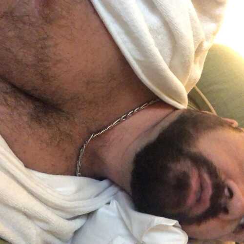 bensh486