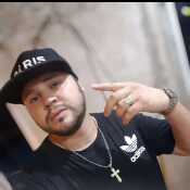 Gans