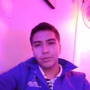 pancholop557