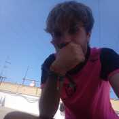 Pollon