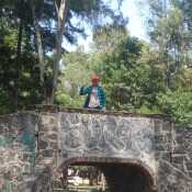 Jovanny
