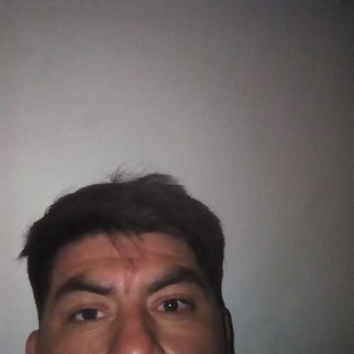 dandavtor689