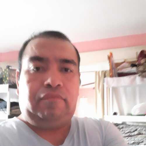 betoflores