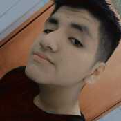 ronaldogam728