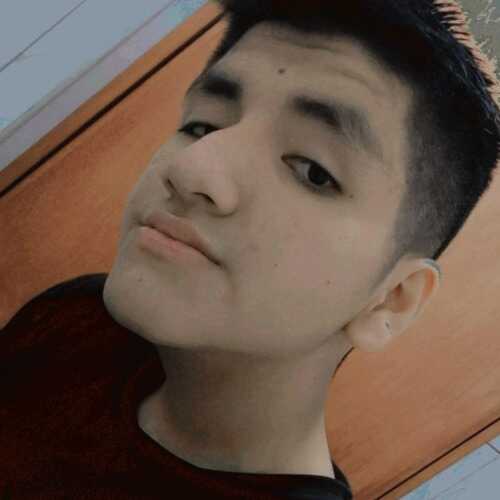 ronaldogam728