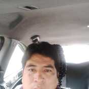 linaressih474